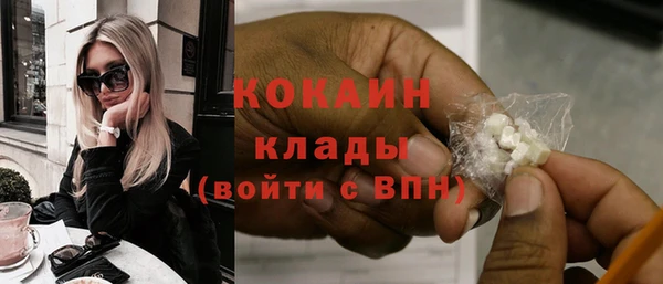 дживик Кинешма