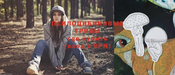 дживик Кинешма