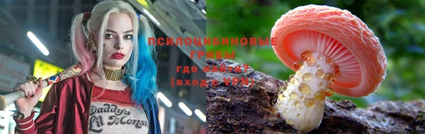 дживик Кинешма