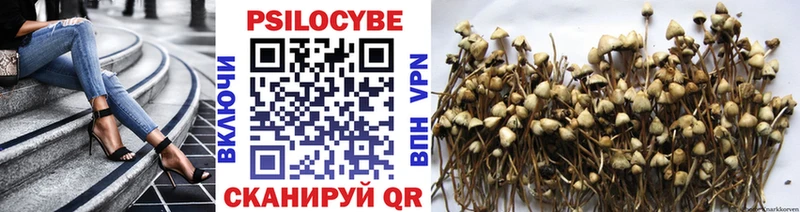Купить  Гаврилов-Ям  Псилоцибиновые грибы Psilocybine cubensis 